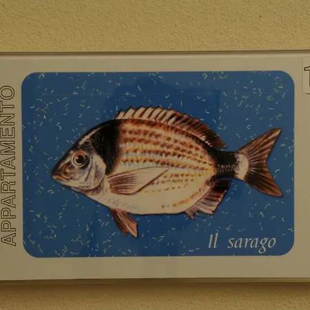 Apartahotel Belmare Rímini