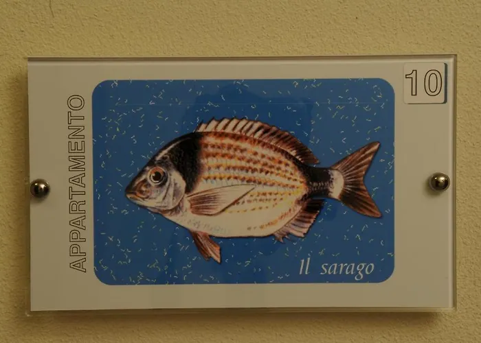 Aparthotel Belmare Rimini